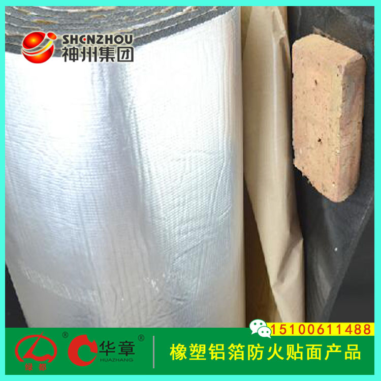 ݼF(tun)͉Xᱣ